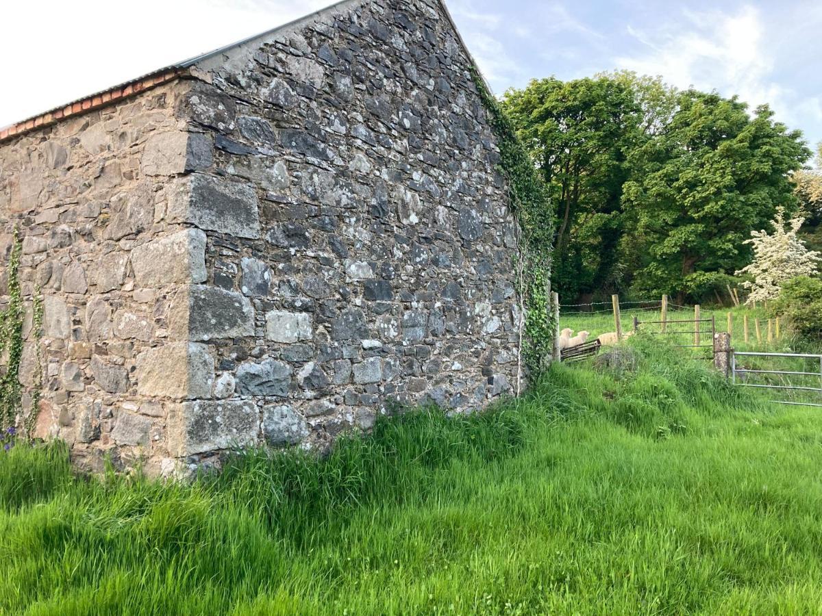 Hillhead Country Retreat Castlewellan Exterior foto